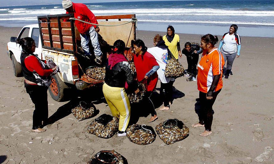 Subpesca capacitará a mujeres de la pesca artesanal para promover la diversificación productiva