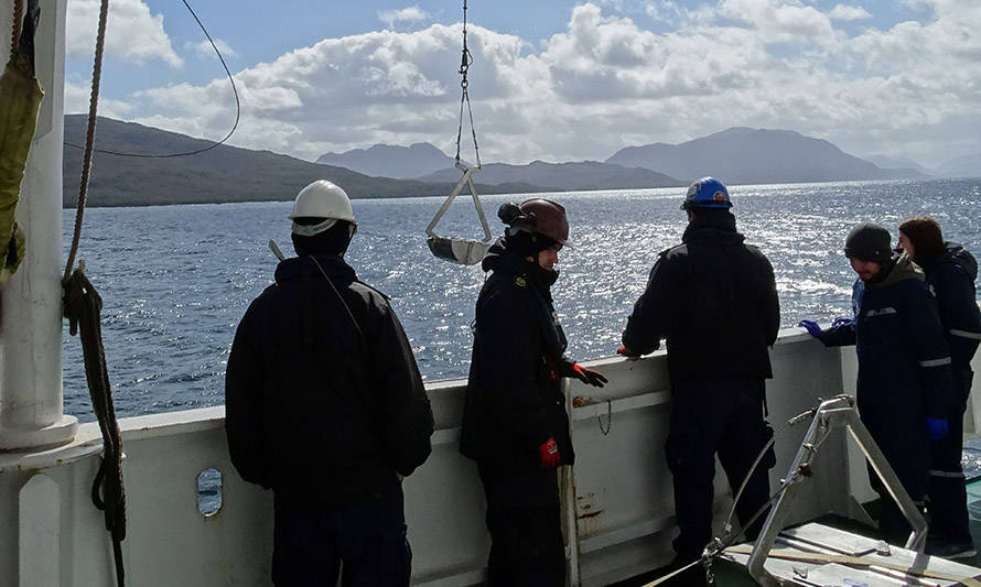 Marea roja: investigación identificó quistes de microalga en áreas oceánicas de Los Lagos y Aysén