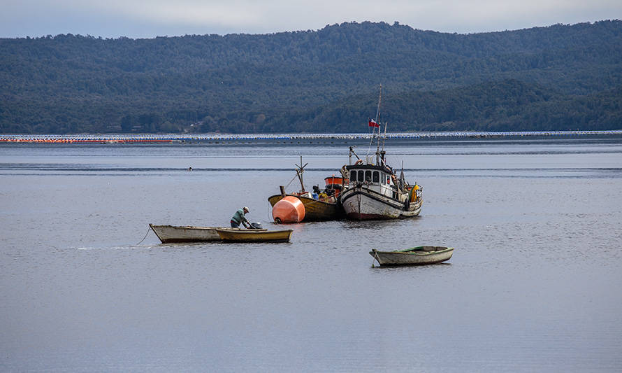 Pesca artesanal: Conapach valora avance de proyecto de ley "Supersol" en el Congreso