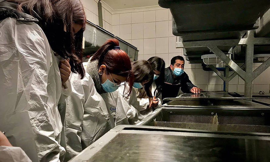 Piscicultura Magdalena de AquaChile recibe a sus primeros estudiantes técnicos desde que empezó la pandemia  
