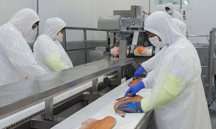 Exportaciones de salmón y trucha crecen 33,5 % en el tercer trimestre y recuperan niveles prepandemia