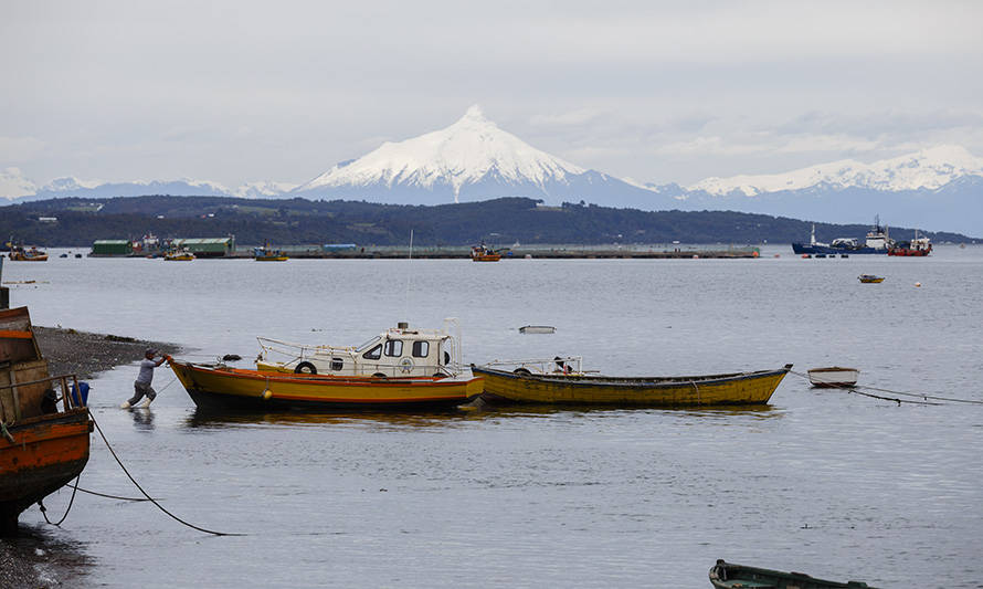 TC declaró inconstitucional proyecto que buscaba entregar un bono de alivio a pescadores artesanales