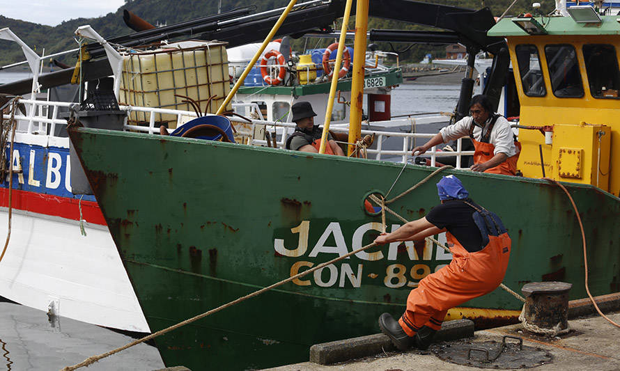 Gobierno abre fondo para apoyar la gestión comercial de organizaciones de pescadores artesanales