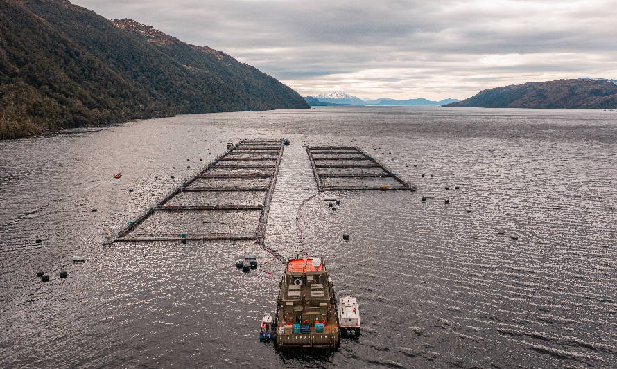 Emprendedores de Magallanes proyectan sus negocios hacia la industria salmonicultora 