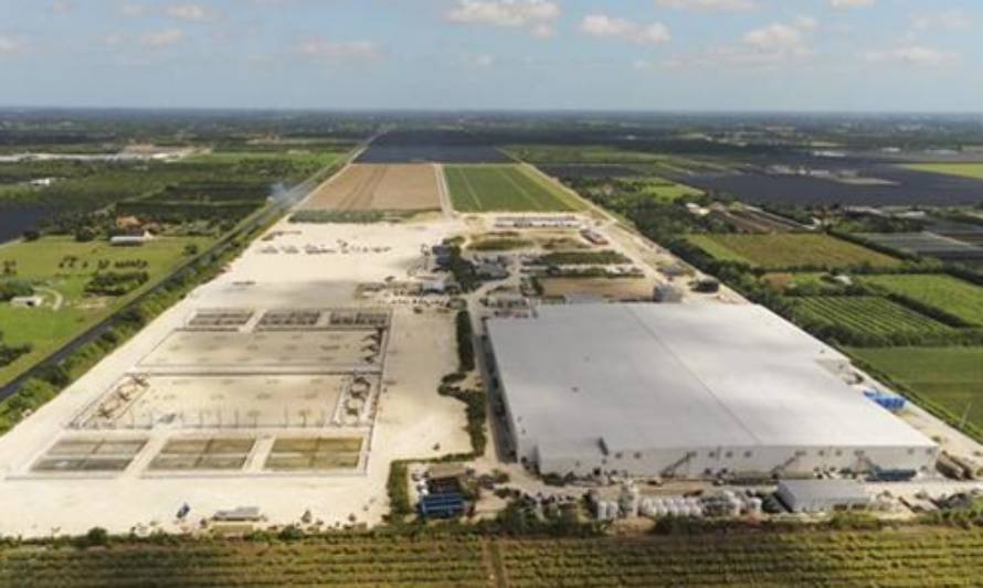 Atlantic Sapphire ASA y Skretting firman un acuerdo para asegurar el suministro local de alimentos