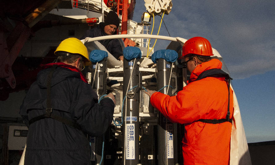 Estudio comparó presencia de metales trazas en el Ártico y la Antártica