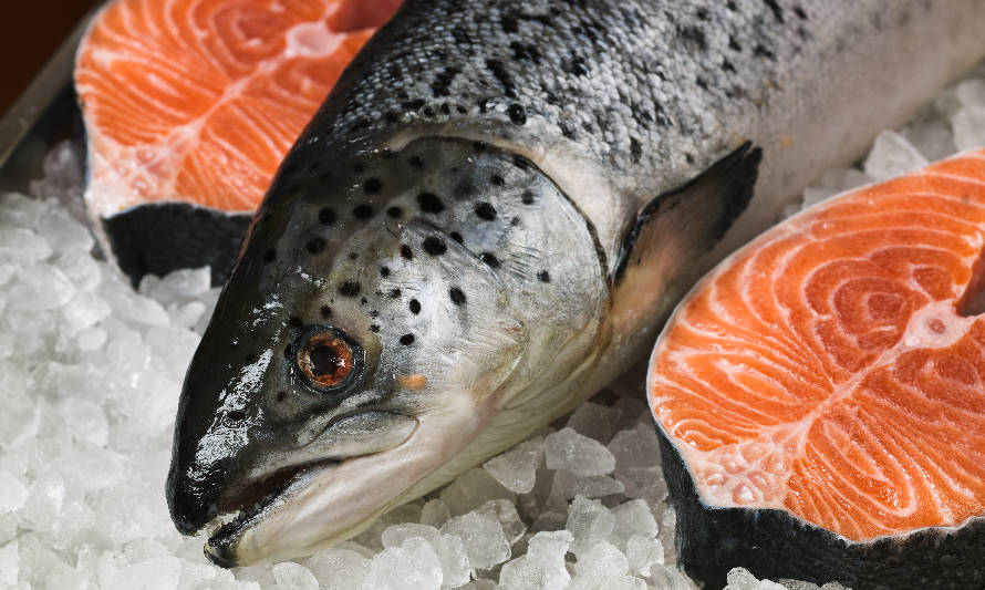 Los Lagos: Más del 80% de las exportaciones correspondieron a salmón y trucha entre enero y noviembre de 2021