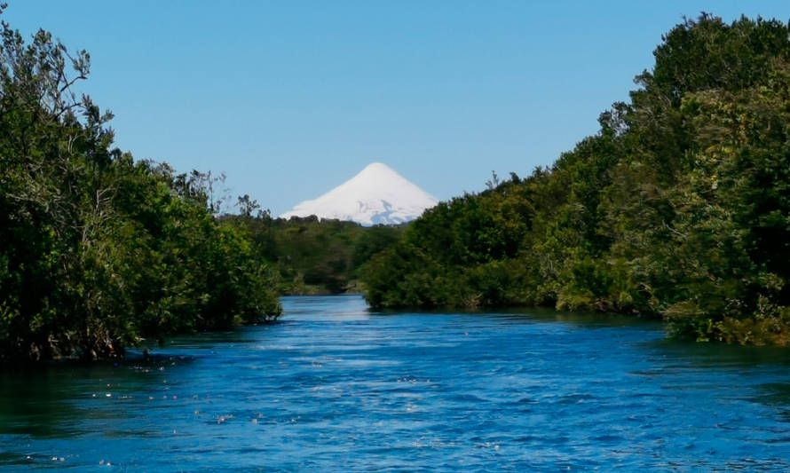 Skretting genera alianza con Fundación Legado Chile para la conservación del medio ambiente