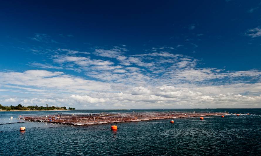 SalmonChile, Endeavor y Ecosistema Los Lagos participarán en Aquasur 