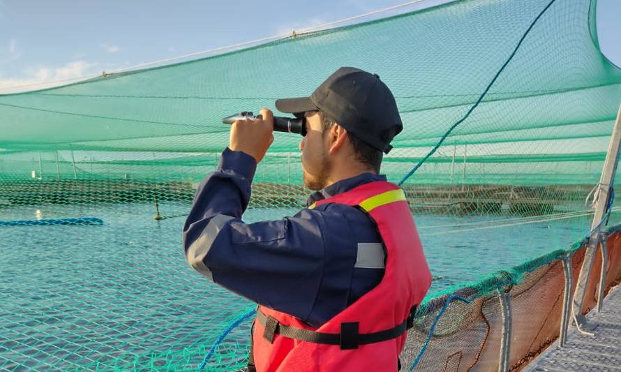 Empresas salmonicultoras refuerzan sistemas de monitoreo y vigilancia para mitigar consecuencias de eventos de floraciones de algas en el verano