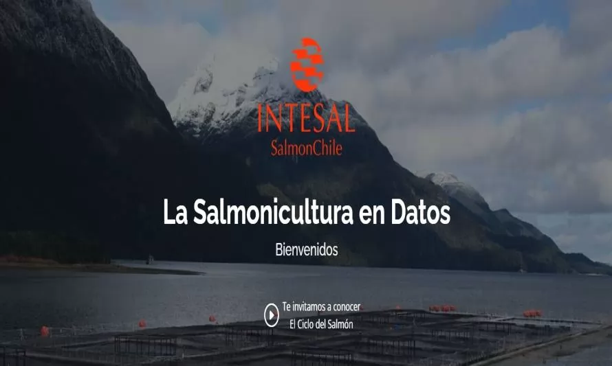 SalmonChile lanza nuevo sitio web para visibilizar la salmonicultura nacional