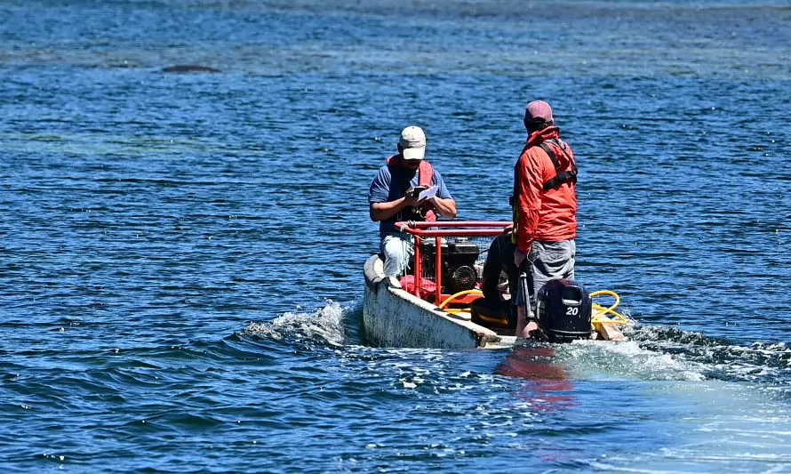 Programa de Investigación Pesquera e IFOP realizaron nuevo monitoreo a estaciones de Erizos y Almejas en Aysén