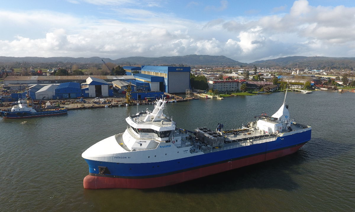 Desde Valdivia al mundo: ASENAV impulsa a Chile como potencia naval a nivel internacional