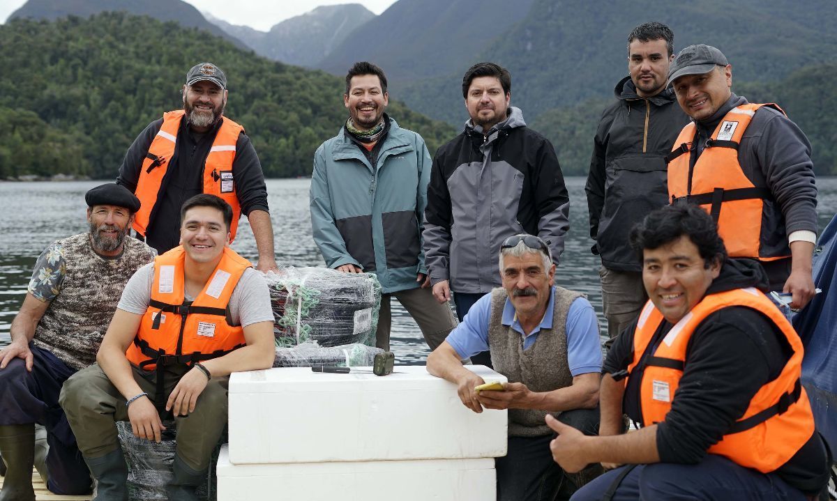 Siembra de ostras y ostiones apuesta por diversificar producción de acuicultores en Puerto Raúl Marín Balmaceda