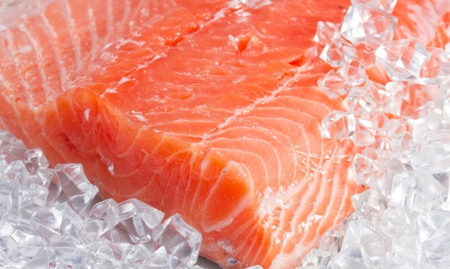 Volumen de exportaciones de salmón y trucha subió un 8,7 % en 2020