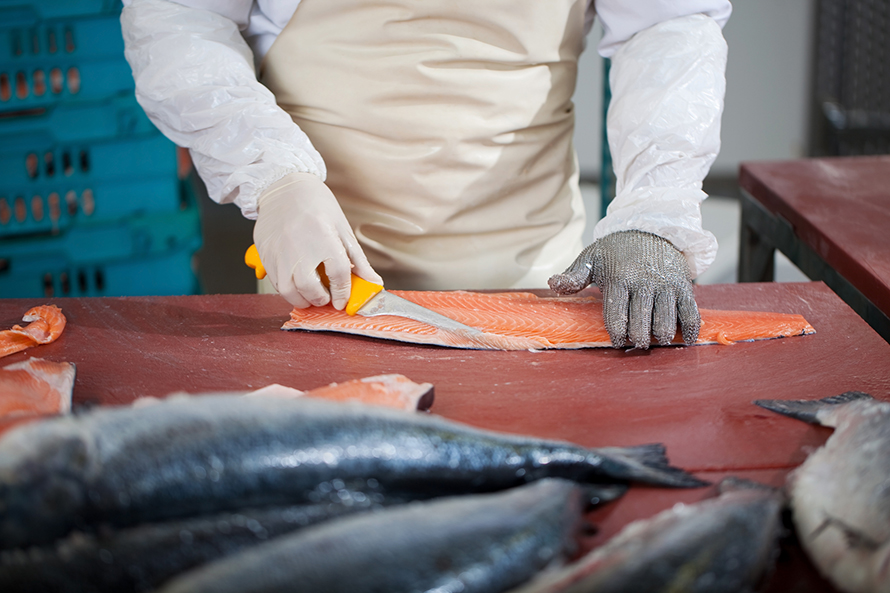 Corea aprueba a seis exportadores chilenos de recursos del mar