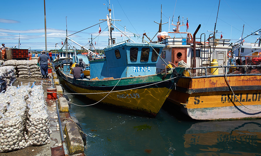 Sernapesca y SII firman acuerdo de colaboración para fortalecer la fiscalización acuícola y pesquera