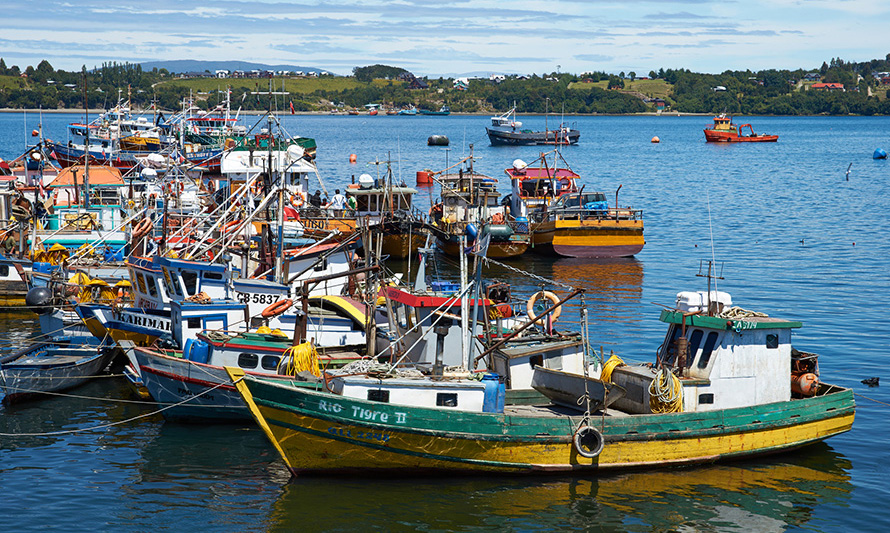Portal “Caleta en línea” comenzó a ofrecer productos del sector pesquero artesanal