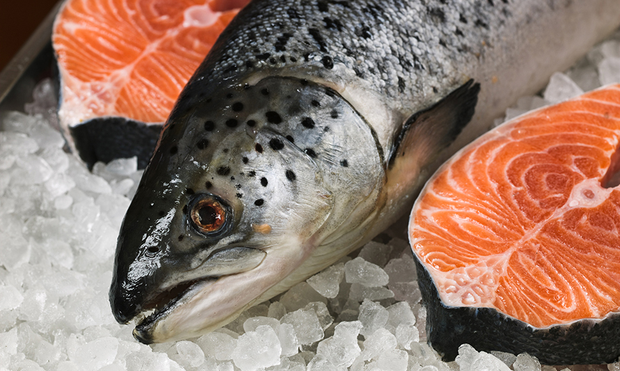 Ejecutivo modifica norma aduanera para agilizar la exportación de salmónidos