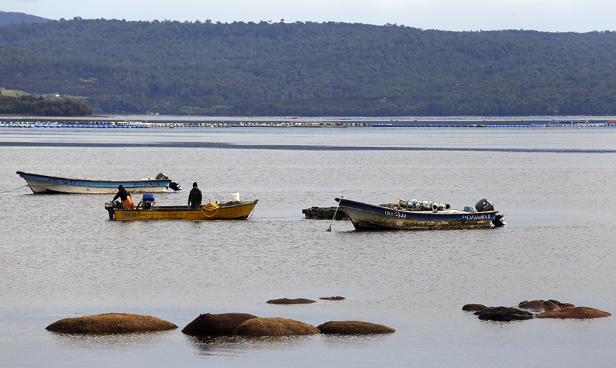 Pesca artesanal: Indespa extiende plazo para ejecución de proyectos pendientes y rendiciones