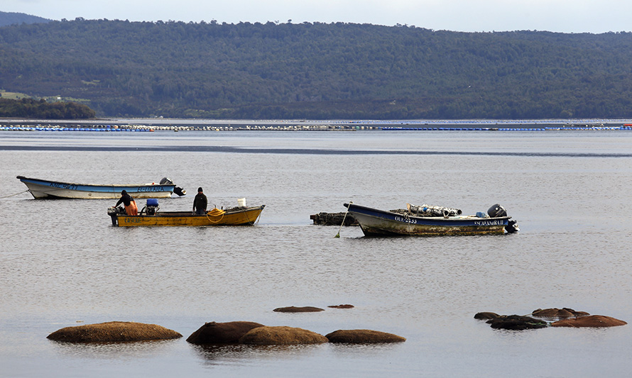 Los Lagos: Gobierno destina $ 200 millones para potenciar la seguridad y las áreas de manejo de la pesca artesanal