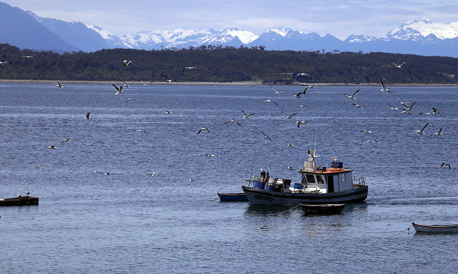 Los Lagos: desembarque pesquero artesanal aumenta 2,7 % en noviembre