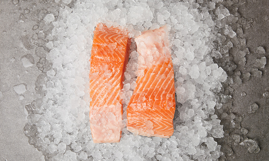 Los Lagos: exportaciones de salmón anotaron caída del 20,3 % en enero
