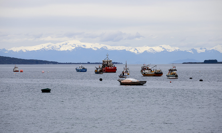 Sernapesca Los Lagos invita a pescadores artesanales a sumarse a Caleta en Línea