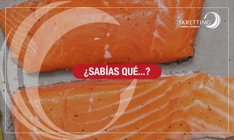 ¿Por qué el salmón es de color naranja?